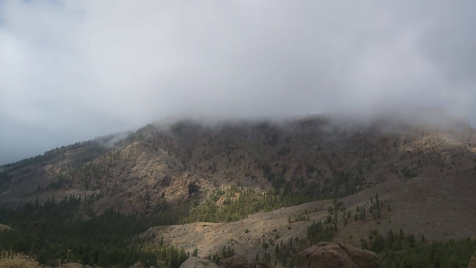 Laderas rocosas con pinares cubiertas por densas nubes y niebla en la cumbre.